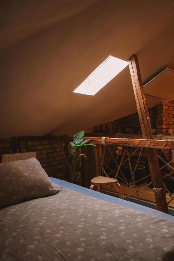 Apartamente A La Cluj المظهر الخارجي الصورة