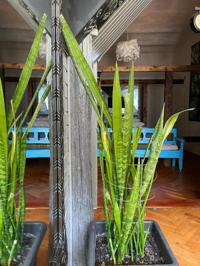 Apartamente A La Cluj المظهر الخارجي الصورة